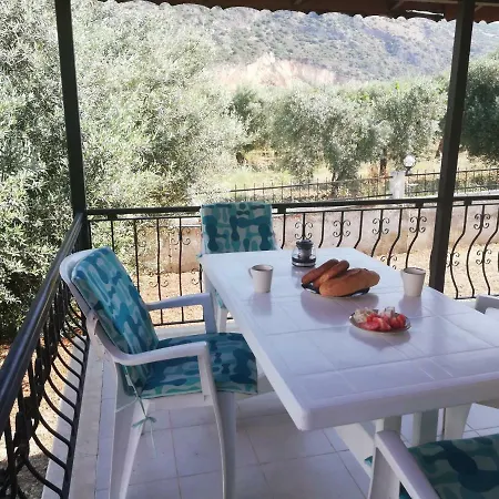 Vitali Villa